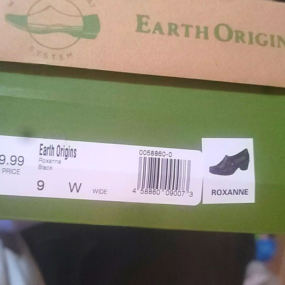 Earth origins